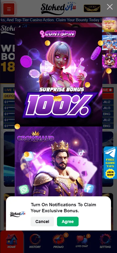 Stokedau Casino home on a mobile device